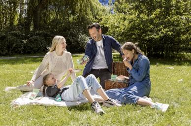 Model familie (ID: 347 )