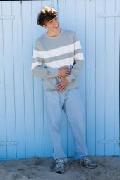 Model familie (ID: 424 )