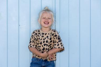 Model familie (ID: 424 )