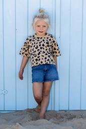 Model familie (ID: 424 )