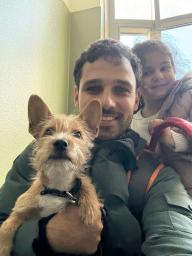 Model familie (ID: 382 )