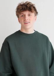 Model familie (ID: 424 )